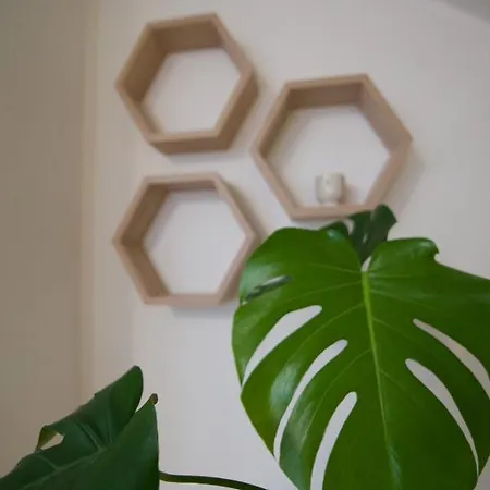 Pod Lasem * Jastrzębia Góra